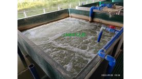 绿缘环境|洗涤行业工业污水特点以及处理方法
